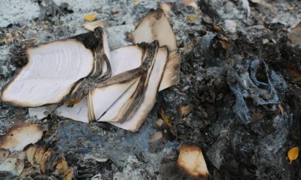 B(r)uchstücke XI – Verbrannte Bücher
