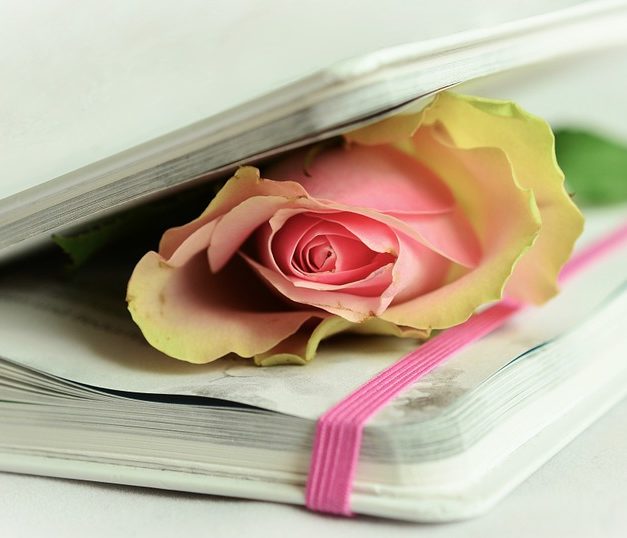 B(r)uchstücke der Literatur XXI – Poesie!