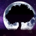 B(r)uchstücke der Literatur XXII – Es war als hätt´ der Himmel, die Erde still geküsst….