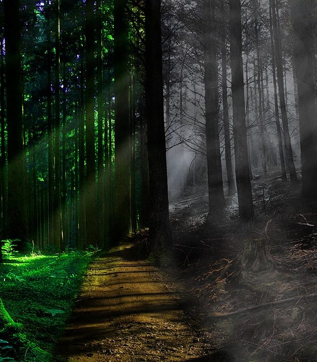 B(r)uchstücke der Literatur XXXV – Voll Leben und voll Tod ist diese Erde…